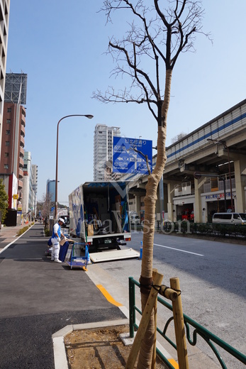 プレシス東麻布