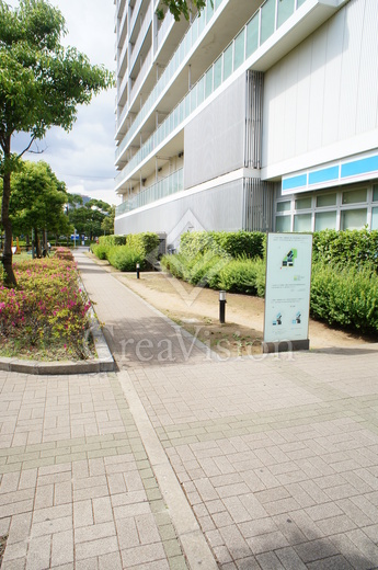 パークアクシス豊洲