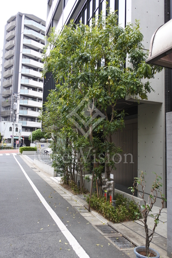 アーバネックス市谷柳町