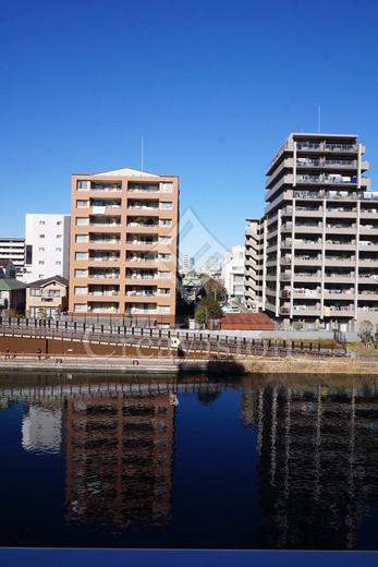 ジニア深川住吉