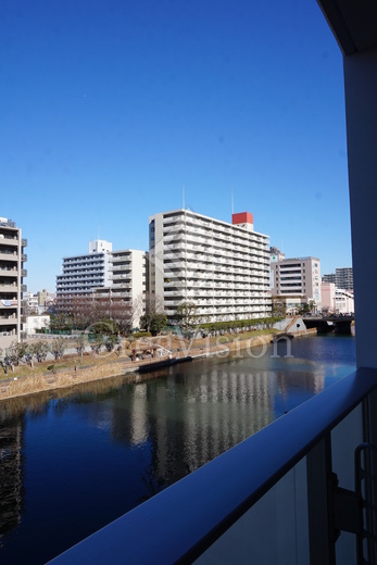 ジニア深川住吉