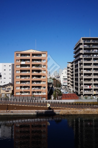 ジニア深川住吉