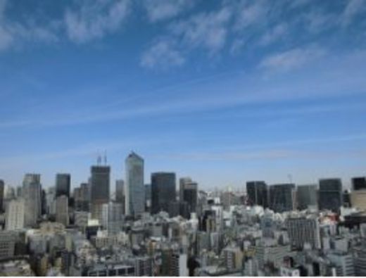 パークコート浜離宮ザ・タワー