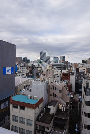 ザ・パークワンズ神田