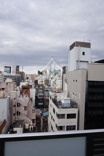 ザ・パークワンズ神田