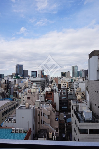 ザ・パークワンズ神田