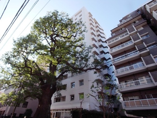 パークハウス楠郷臺