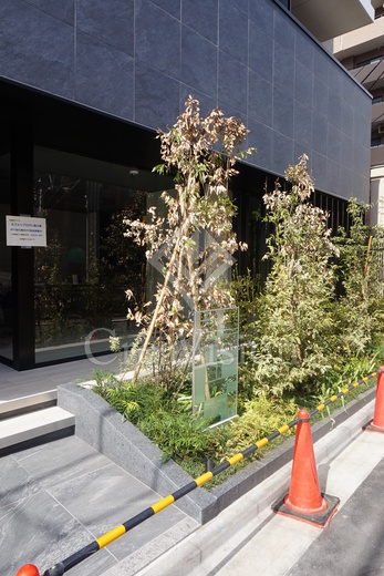 ルフォンプログレ南大塚