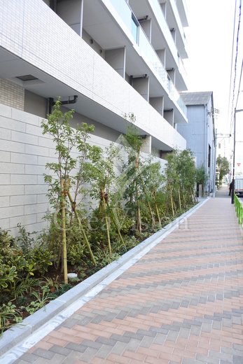 ザ・パークハビオ月島フロント