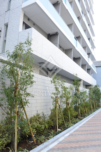 ザ・パークハビオ月島フロント