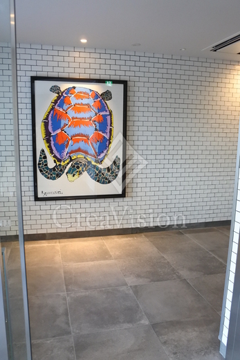 ザ・パークハビオ月島フロント