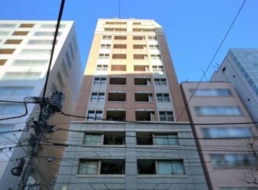 グランシティ日本橋ラフィーネ