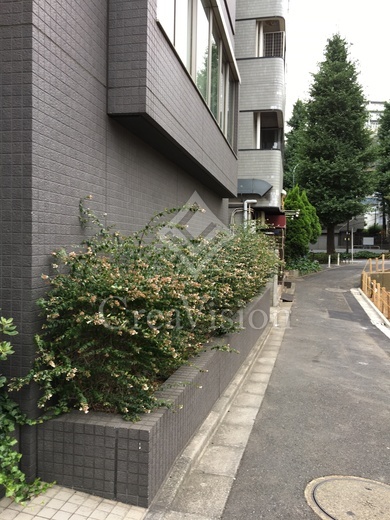 コンフォリア北参道