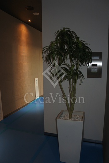 ブラウ菊川プレイス