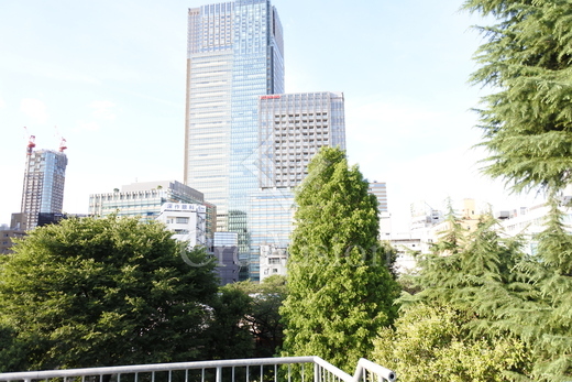 ブランズ六本木