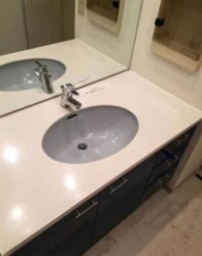 上野毛パーク・ホームズ アダージオ