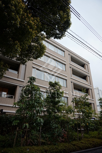 六本木プラシッド (ROPPONGI PLACID)