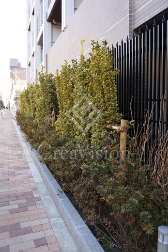 ザ・パークハビオ高円寺レジデンス