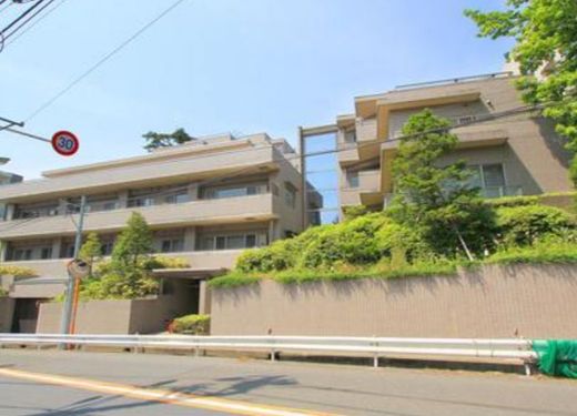パインヒルズセタ
