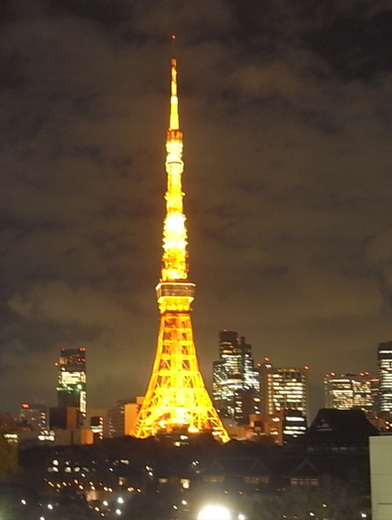ビューテラス芝公園