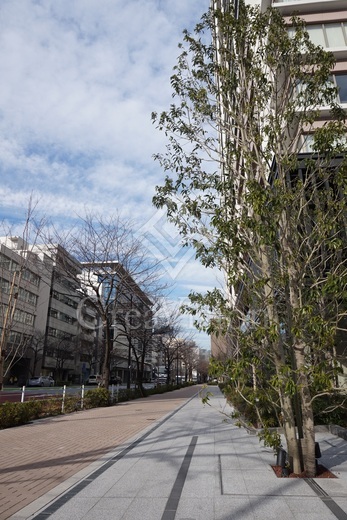 ブランズタワー芝浦