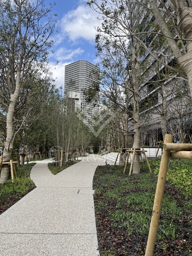 ブランズタワー豊洲