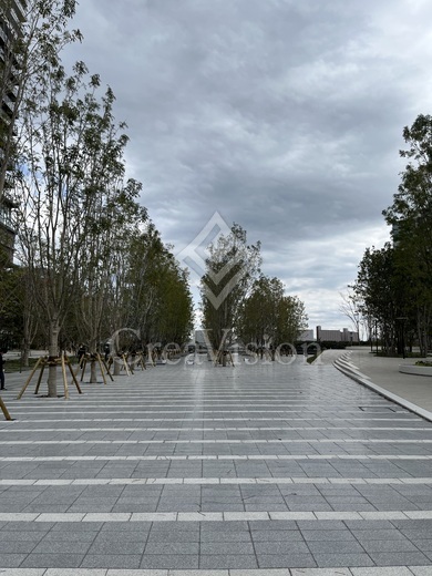 ブランズタワー豊洲