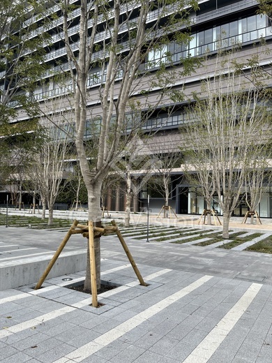 ブランズタワー豊洲